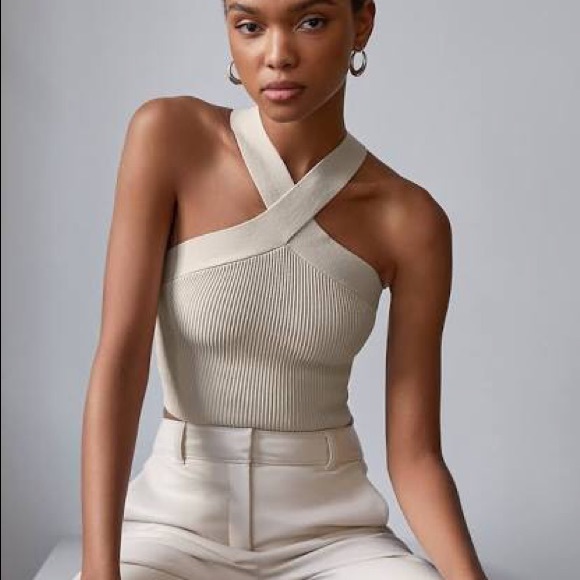 ✨ NEW Babaton Sculpt Knit Cross Tank aritzia - Picture 4 of 7